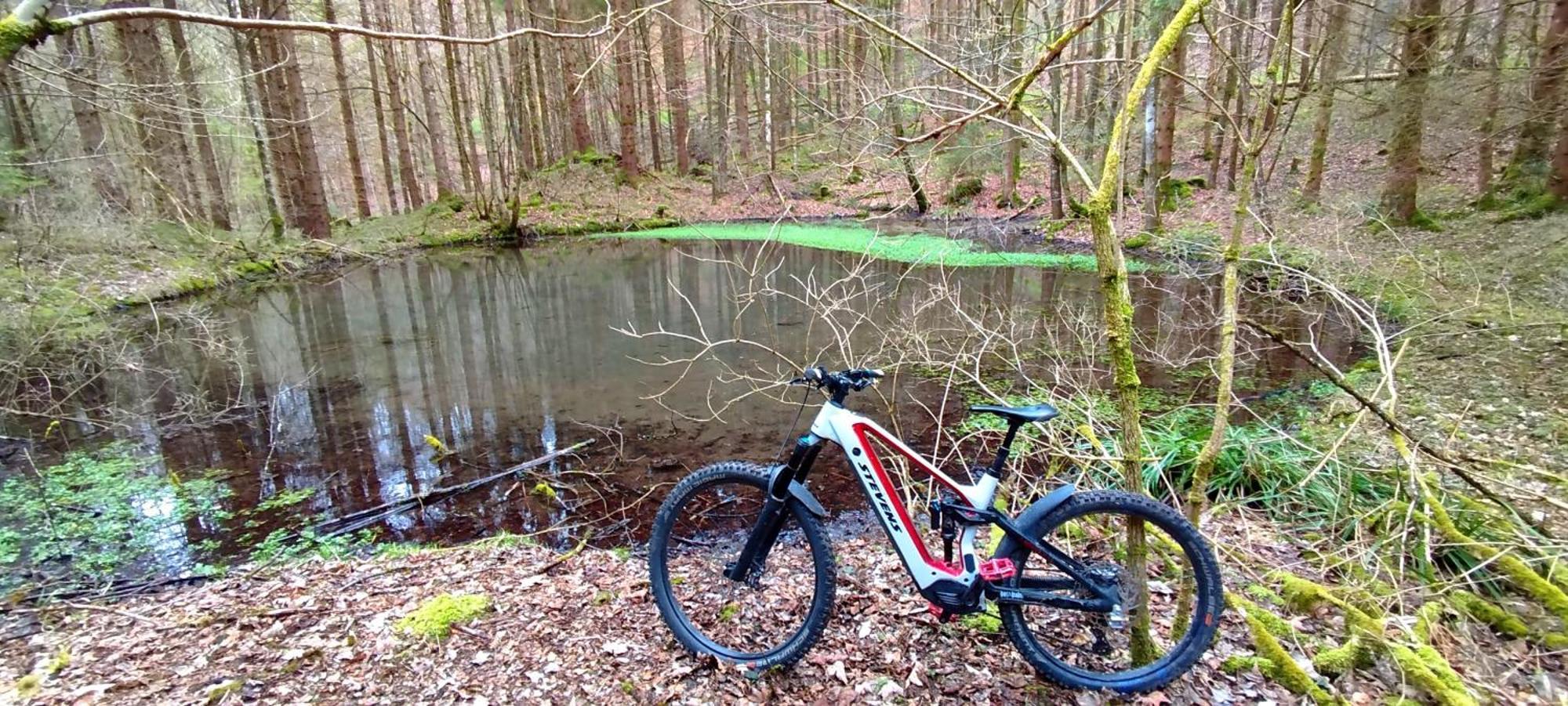 Apartment Hecht - Biketrail Fun & Relaxing *