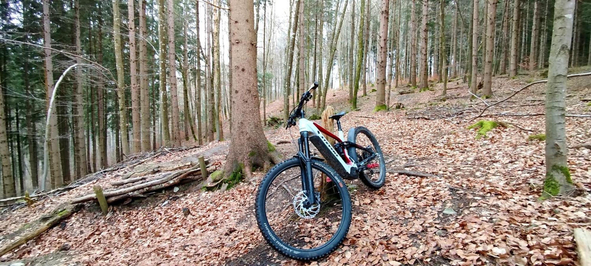 Hecht - Biketrail Fun & Relaxing Apartment Wolfegg